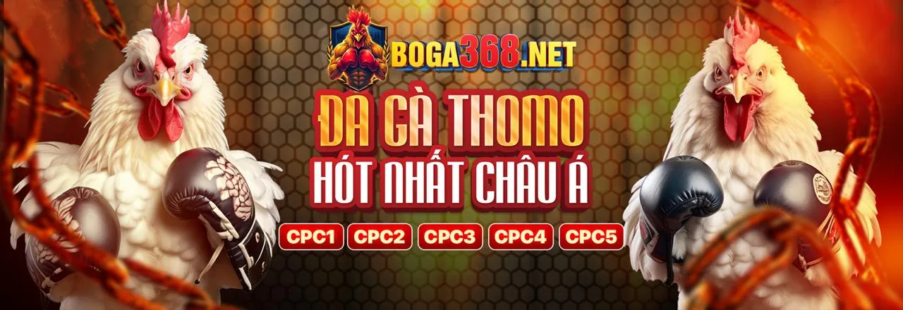 Trận đấu đá gà kịch tính tại daga68
